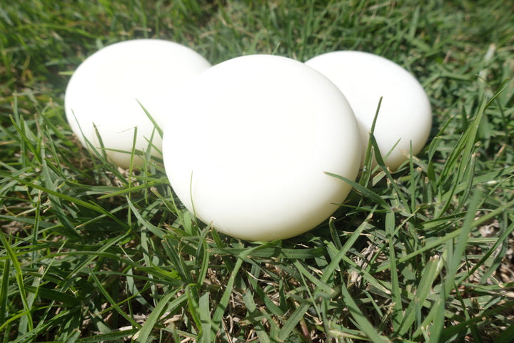 Bundle Of 3 Coriander Solid Lotion Bar